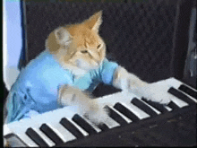 Cat Mashing On A Keyboard Piano Biancaglamour69 GIF - Cat Mashing On A Keyboard Piano Biancaglamour69 GIFs