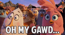 Oh My Gawd... GIF - Angry Birds Movie Omg Oh My Gawd GIFs