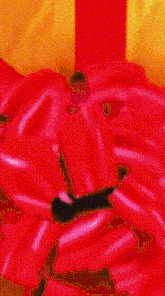 a close up of a red ribbon bow on a yellow background .