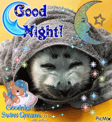 Goodnight Seal GIF - Goodnight Seal Goodnight Seal GIFs