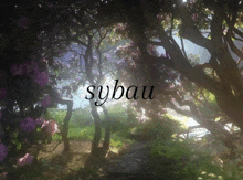 a picture of a forest with the word sybau written on it