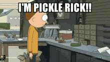 Pickle Rick GIF - Pickle Rick Rick And Morty GIFs