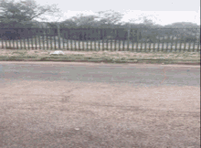 Middle Finger Running GIF - Middle Finger Running Oops GIFs