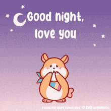 a picture of a hamster with the words good night love you on it