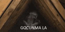 Gocunma La Gocunma GIF - Gocunma La Gocunma Crassa GIFs