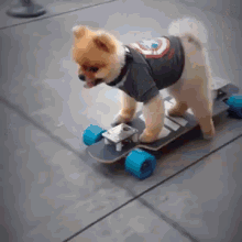 The Realest Dog On The Streets GIF - Dog Play Skateboard GIFs