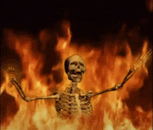 Skeletonfire огонь GIF - Skeletonfire Fire огонь GIFs
