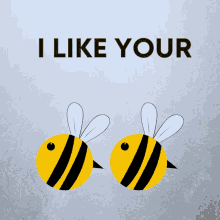Clam River Honey Bees GIF