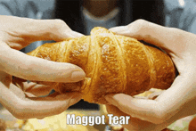 Maggots Croissant GIF - Maggots Croissant Tear GIFs