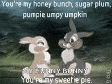 a couple of rabbits standing next to each other with a quote that says you 're my honey bunch