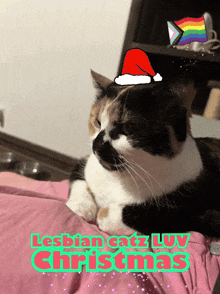 a calico cat wearing a santa hat with the words lesbian catz love christmas below