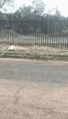 a fence along the side of a road with a white object on the ground