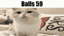 Balls Balls 59 GIF - Balls Balls 59 Cat GIFs