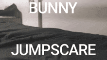 Bunny Jumpscare GIF - Bunny Jumpscare GIFs