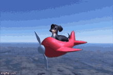 Dog Plane GIF