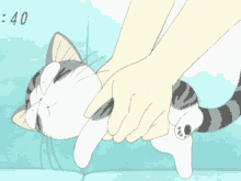 Adorable Cat GIF