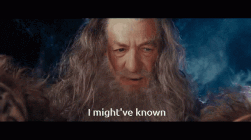 Lotr Lord Of The Rings GIF - Lotr Lord Of The Rings Gandalf GIFs