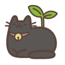 kitten black