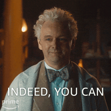 Indeed You Can Aziraphale GIF - Indeed You Can Aziraphale Michael Sheen GIFs