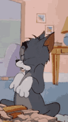 Tom And Jerry Tom The Cat GIF - Tom And Jerry Tom The Cat Scüchtern GIFs