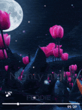a video of pink flowers with the words nighty night feddie at the top