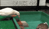 a white duck is standing in a green container with the words duck 44 written on it