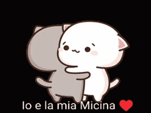 Micina Amore GIF - Micina Amore Love GIFs