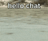 Hello Chat Meme GIF - Hello Chat Meme Boat Sinking GIFs