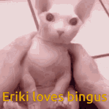 Eriki Eriki Loves Bingus GIF - Eriki Eriki Loves Bingus Eric Loves Bingus GIFs