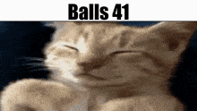 Balls Balls 41 GIF