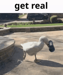 Get Real Among Us GIF - Get Real Among Us Goose Meme GIFs
