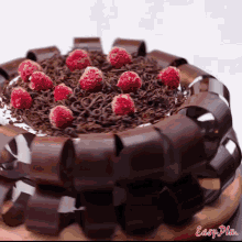 a chocolate cake with raspberries and chocolate shavings with easy plan written on the bottom right