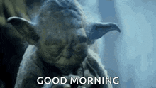 Yoda Star GIF - Yoda Star Wars GIFs