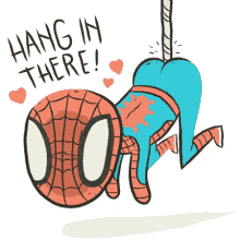 Hang In There Spiderman GIF