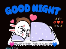 Cony And Brown Goodnight GIF