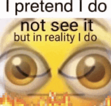 a close up of a cartoon face with the words " i pretend i do not see it but in reality i do "