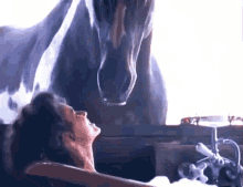 Horse Playing With Horse GIF