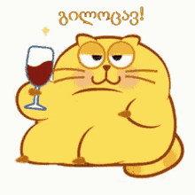 გილოცავ ღვინო GIF - გილოცავ ღვინო კატა GIFs