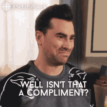 Well Isnt That A Compliment David Rose GIF - Well Isnt That A Compliment David Rose David GIFs