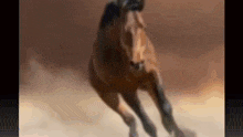 a brown horse is running through a dirt field .