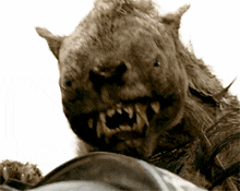 Warg Lord Of The Rings GIF - Warg Lord Of The Rings GIFs