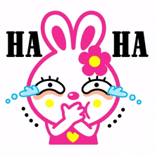 rabbit positive haha so funny lol