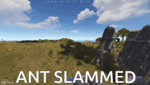 a screenshot of a video game with the words ant slammed