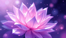 a close up of a purple flower with a dark background