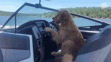 Dog Driving GIF - Dog Driving Boat GIFs