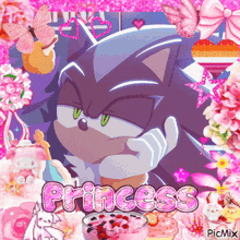 a picture of sonic the hedgehog with the word princess written on it
