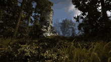 Forest The Witcher GIF