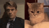 a man in a suit and tie is next to a cat looking at the camera