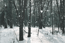 снежинка снегопад снег зима лес GIF - Snowflake Snow Snowing GIFs