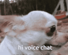 Voice Chat GIF - Voice Chat GIFs